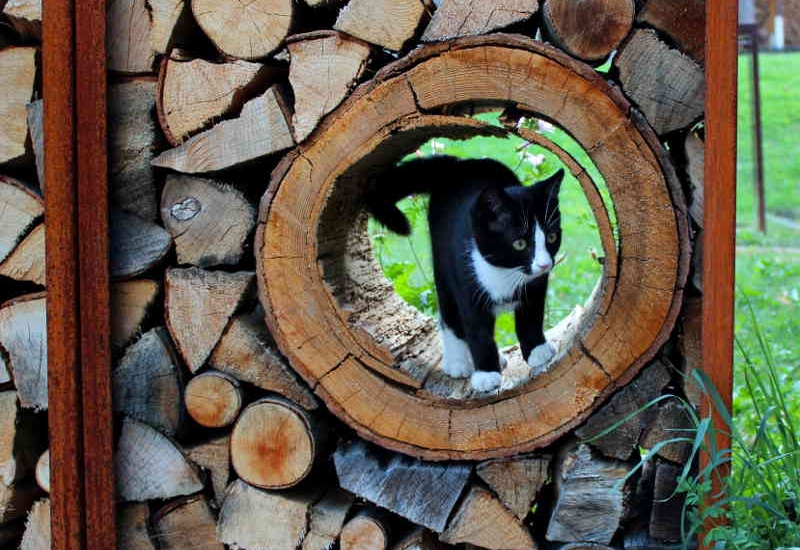 YAGOONA-Mallee-woodbox-Feuerholzaufbewahrung-Cheminéeholz-kaminholz-regal-firewood-rack-cat-10
